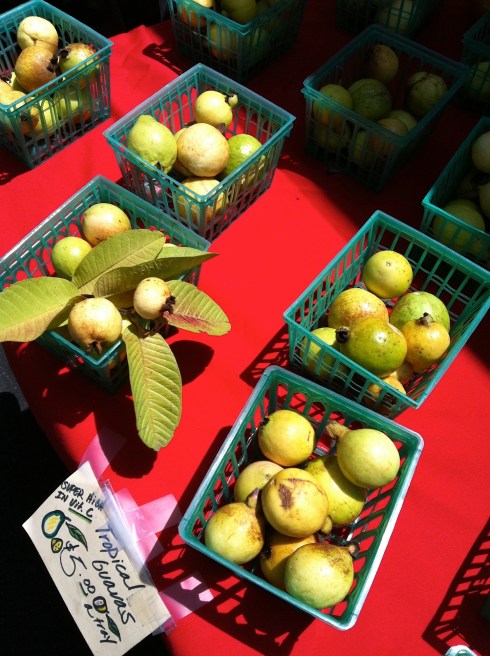 Mini Guavas, it's the end of their season